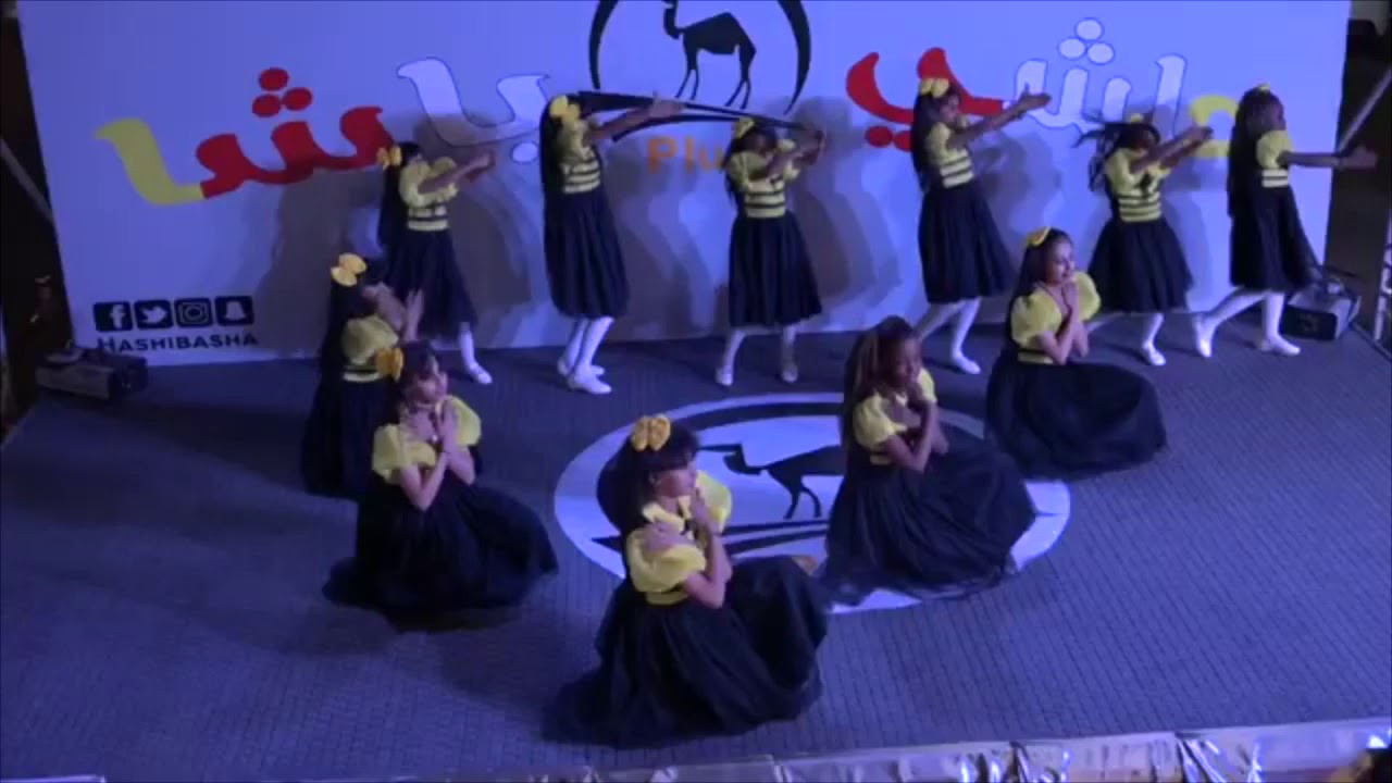 حفل افتتاح حاشي باشا بلس جميع العروض ❤️