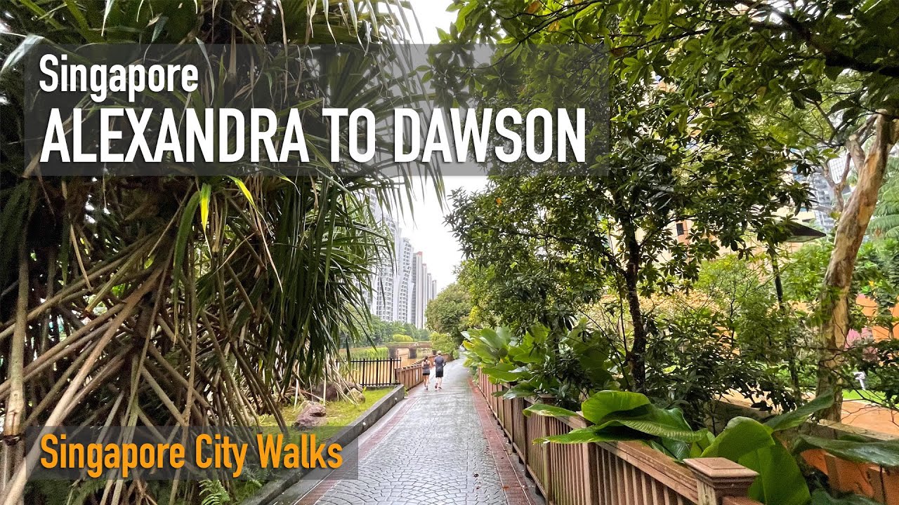 Alexandra to Dawson Sky Garden - Walking in light rain [4K]