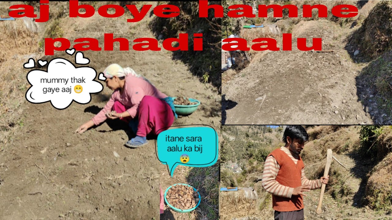 Hamne boye pahadi allu mummy thak gaye 