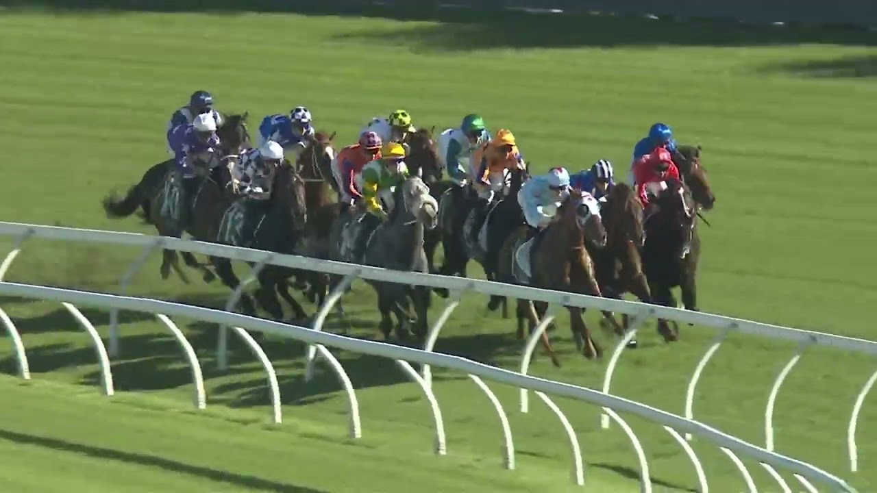 2024 TJ Smith Stakes