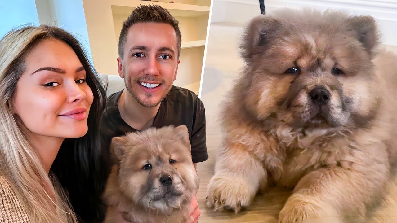 WE GOT A DOG!