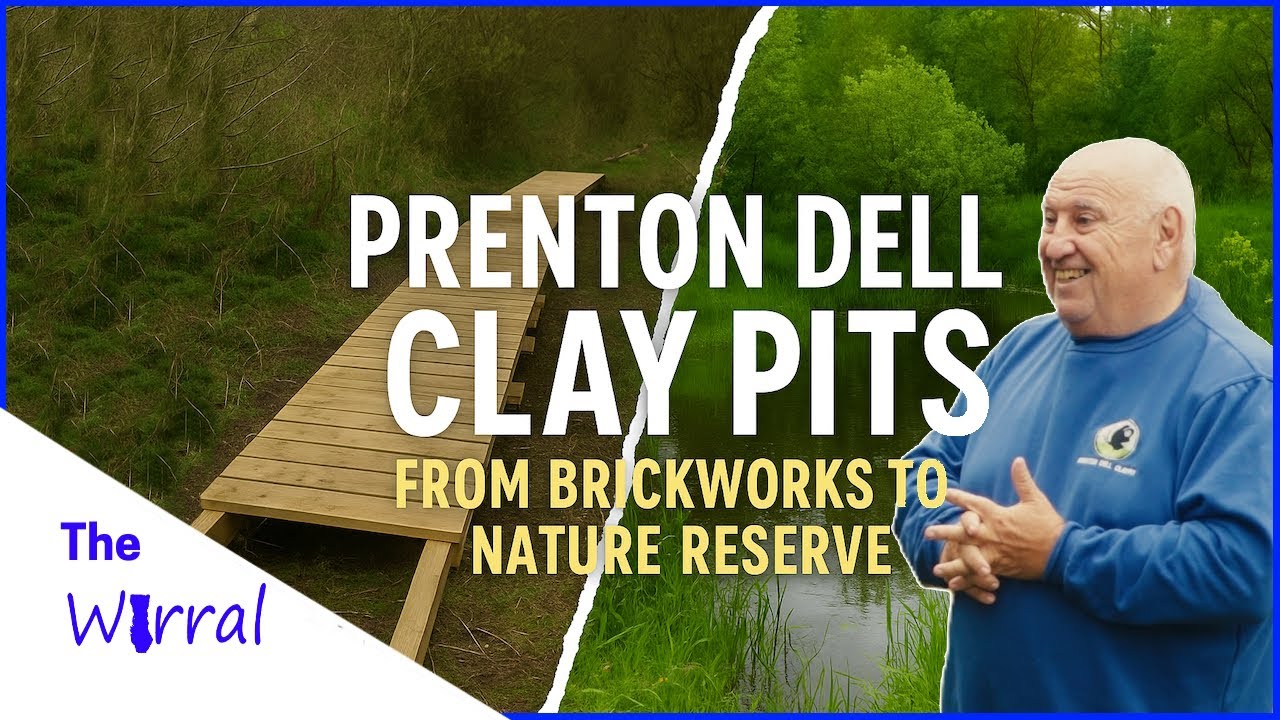 The Hidden History of Prenton Dell Clay Pits (and the Volunteers Saving It)