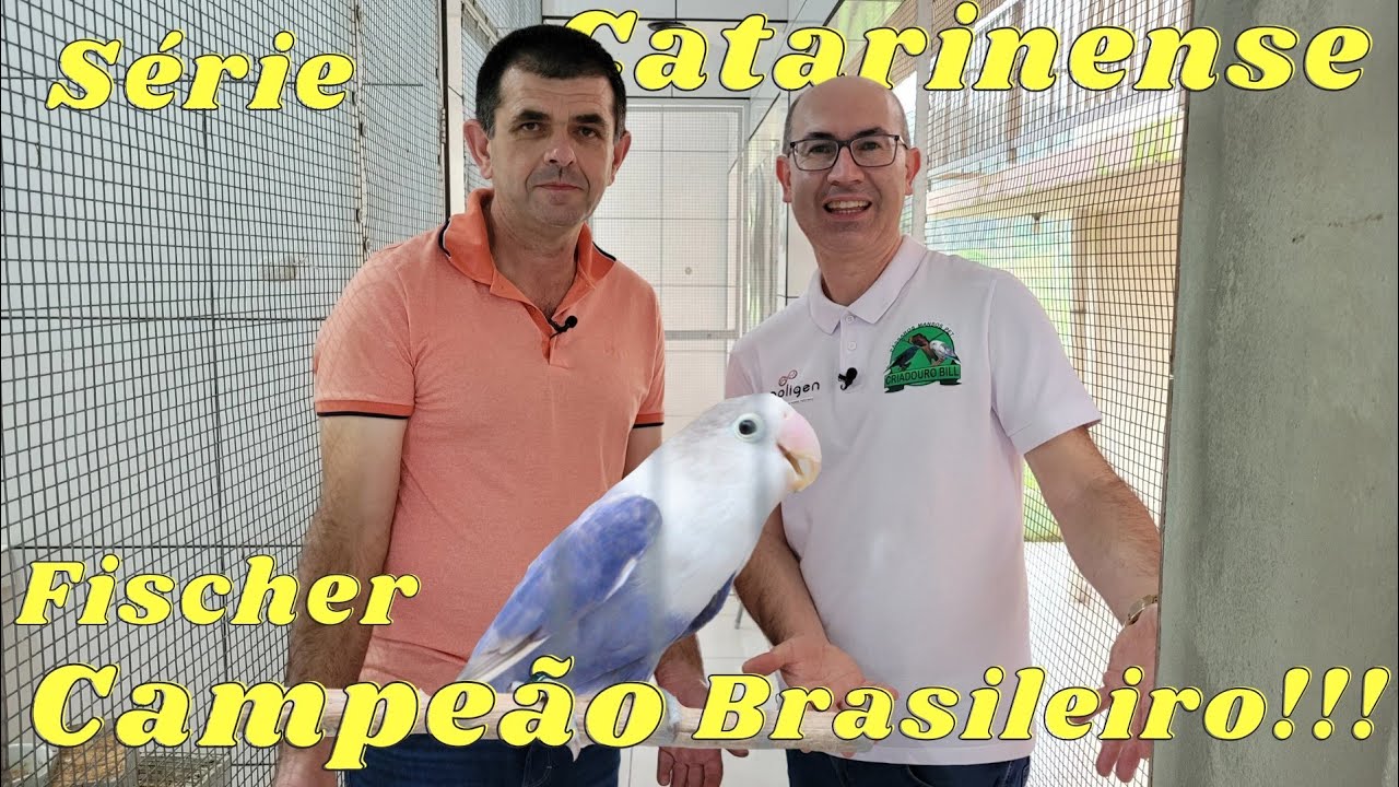 NELSON BORCHARDT CRIANDO AGAPORNIS FISCHERIS CAMPEÕES!!!