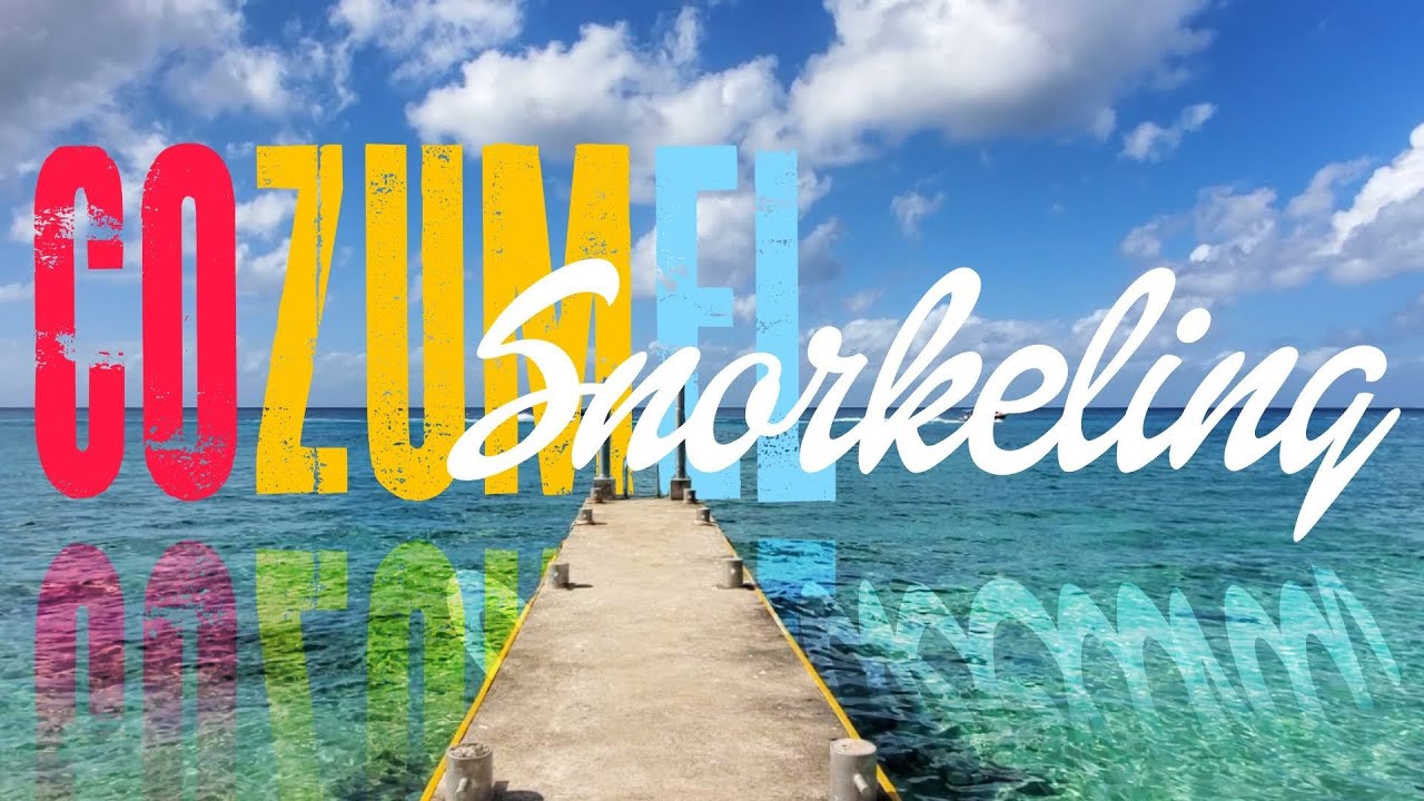 BEST Snorkeling Vacation for Family | Money Bar Cozumel | El Caribe Vlog 3
