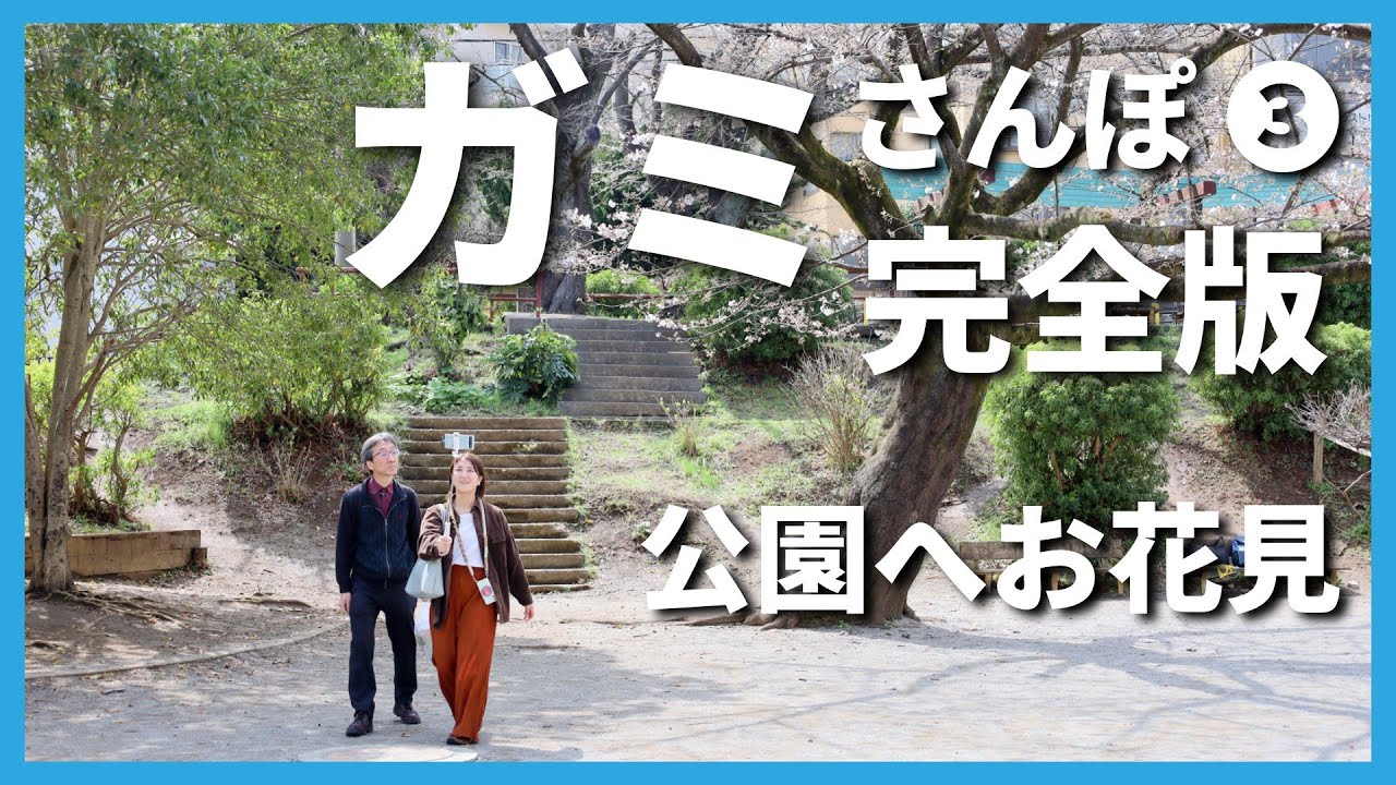 ＜字幕入り＞【ガミさんぽ③】お花見へ！百合丘第2公園めざしてぶらり♪