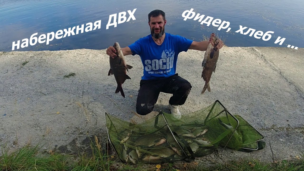 набережная Десногорского водохранилища - хлебушек и лещ на фидер...