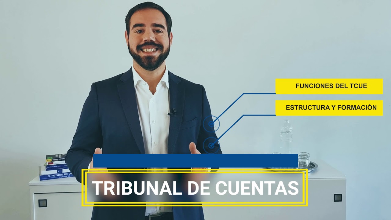 8. El Tribunal de Cuentas y otros organismos de control