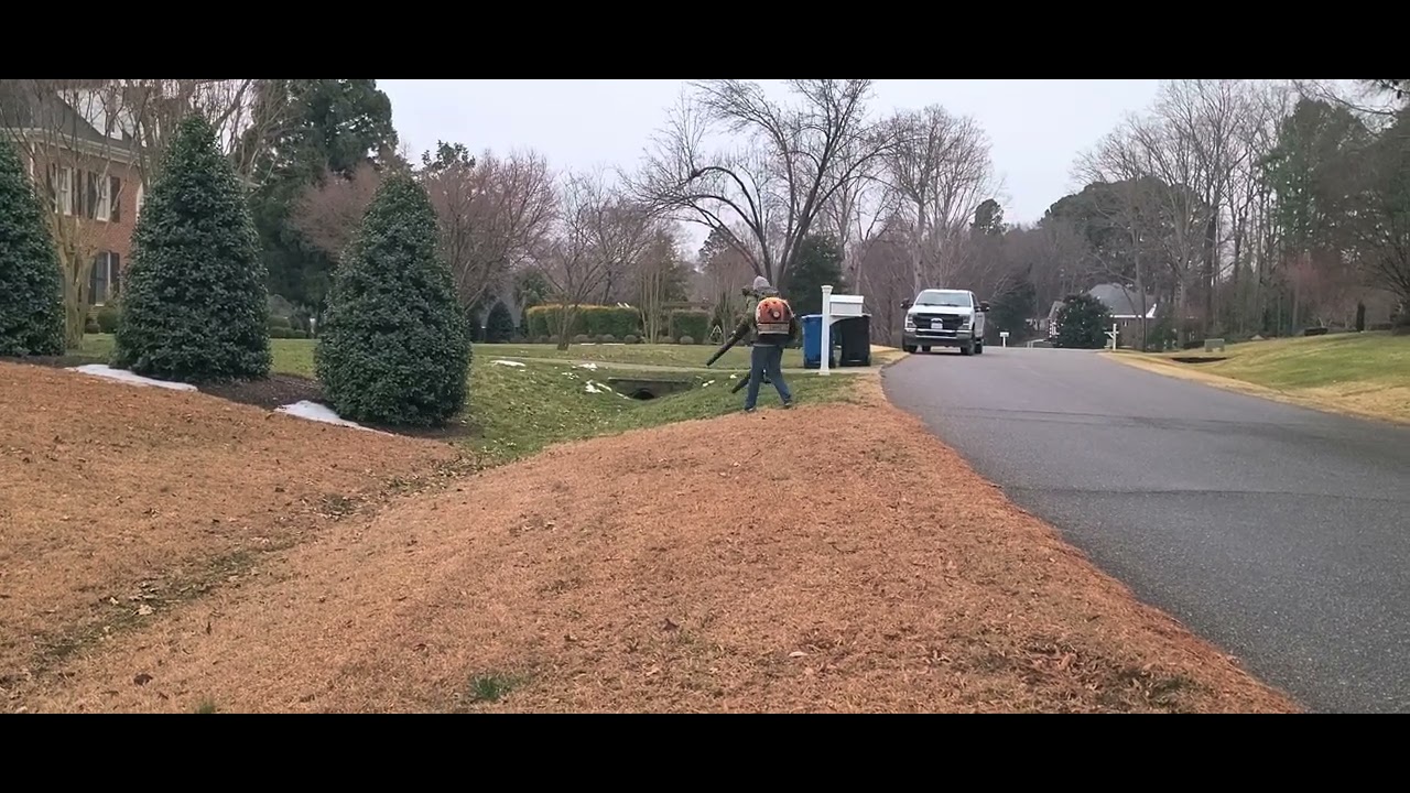 Landscapers blowing leaves