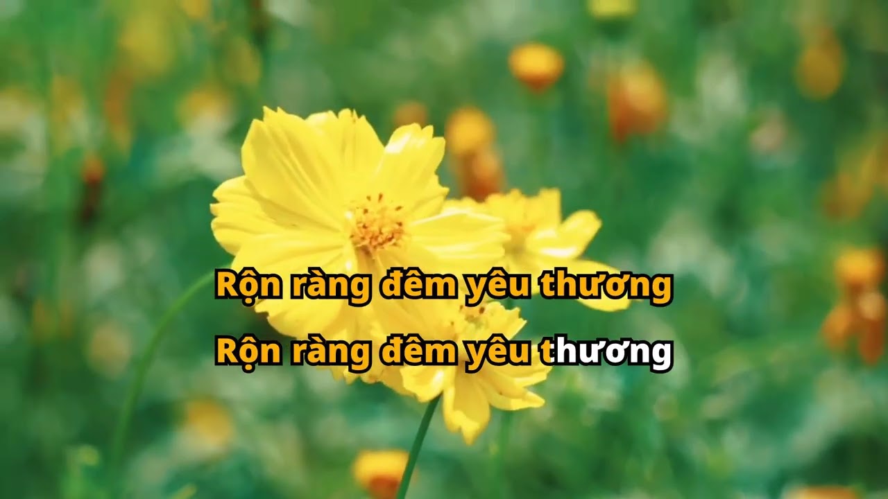 LỐI CŨ (Y Jang Tuyn) - KARAOKE