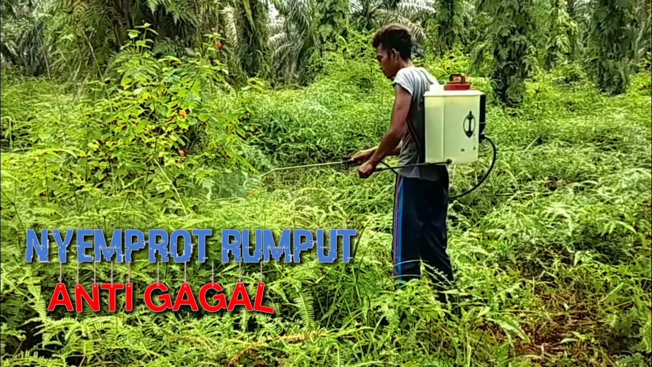 NYEMPROT RUMPUT MATI TOTAL ANTI GAGAL