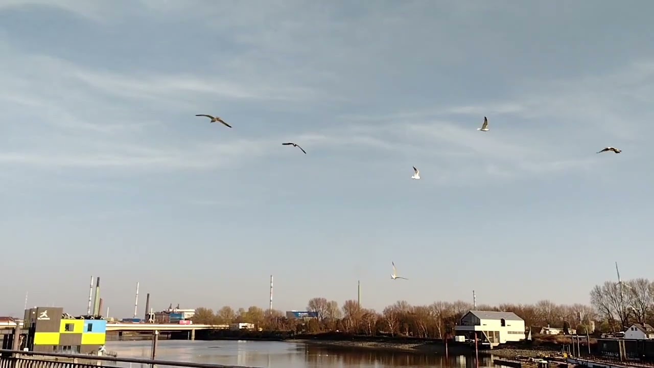 2 Jahre Pandemie - Eindrücke von der Veddel