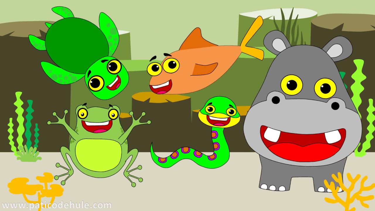 Bebé tiburón (versión cocodrilo) - Baby Shark - Canción Infantil para bailar