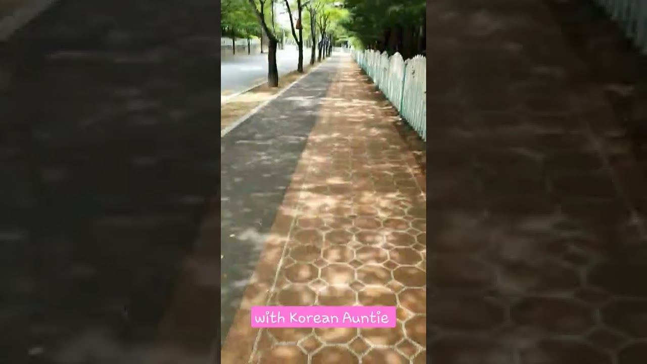 #koreansummer #onefineday #walkingaround #friday #koreanauntie #southkorea