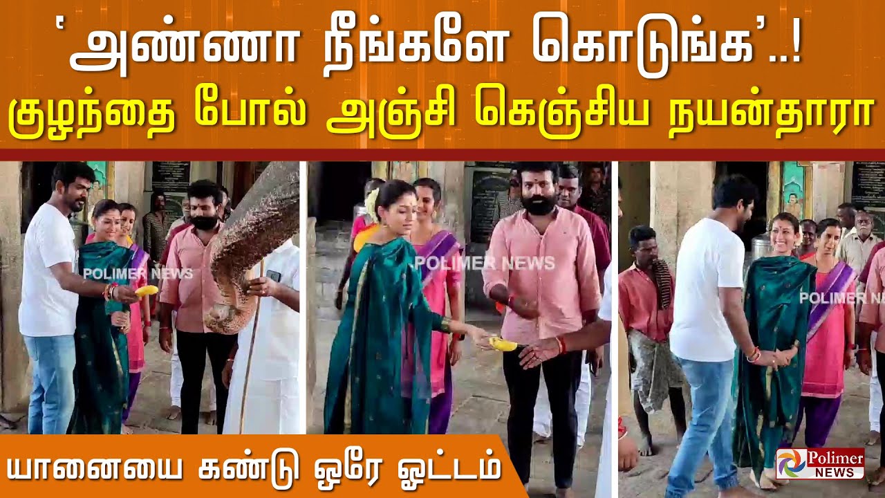 'அண்ணா நீங்களே கொடுங்க' சிறு பிள்ளை போல் அஞ்சி கெஞ்சிய நயன்தாரா.. யானையை கண்டு ஒரே ஓட்டம்..!