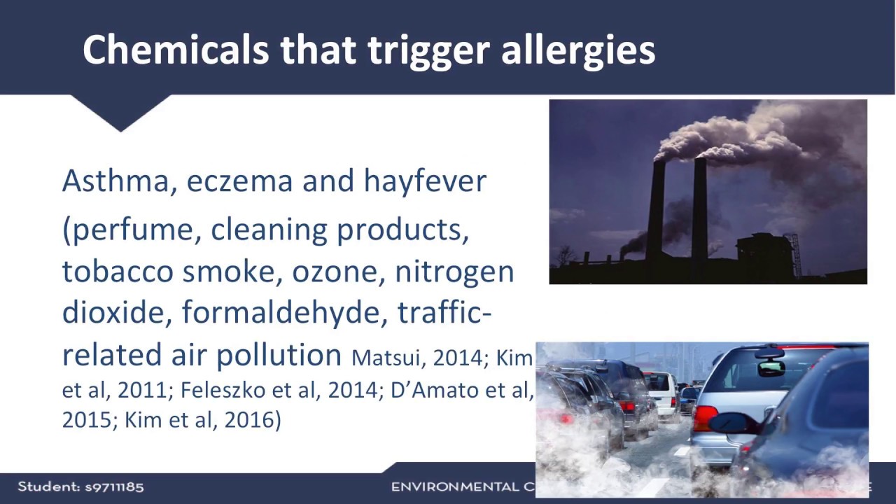 Creating a Healthy Home - Nicole Bilisjma - NIIM Free Public Seminar May 2018