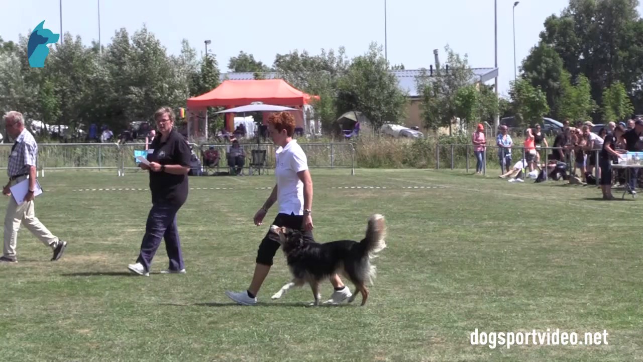Finals - Miriam Søndergaard + Casey