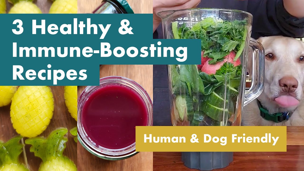 3 Healthy and Immune-Boosting Recipes for You and Your Dog