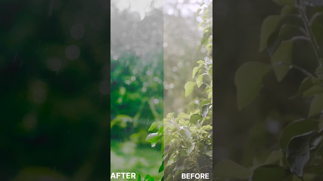 VN COLOUR GRADING TUTORIAL | #vntutorial #vnvideoeditor #colorgrading