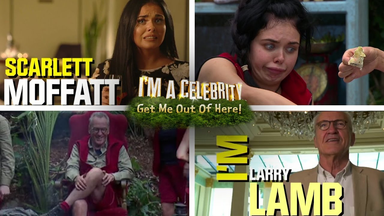 Larry & Scarlett Take on the Jungle | I'm A Celebrity... Get Me Out Of Here!