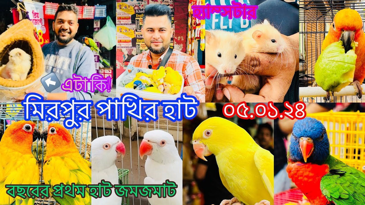 ২০২৪ সালের প্রথম হাট। মিরপুর ১ পাখির হাট পাখিতে  জমজমাট। Mirpur 1 Pakhir Hat। Birds Price #viral