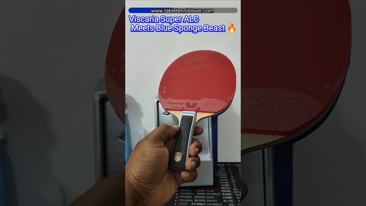 Viscaria Super ALC + Dignics 09C + Hurricane Blue Sponge National 🏓🔥