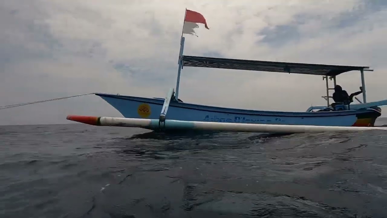 Spearfishing on FADs. Bali, Singaraja. Подводная охота на румпонах