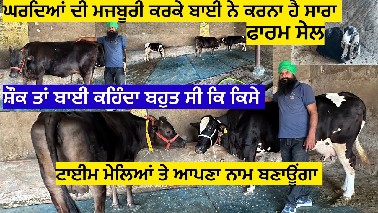 ਘਰਦਿਆਂ ਦੀ ਮਜਬੂਰੀ ਕਰਕੇ ਬਾਈ ਨੇ ਸਾਰਾ ਫਾਰਮ ਕਰਨਾ ਹੈ ਸੇਲ,ਸ਼ੌਕ ਤਾਂ ਬਾਈ ਕਹਿੰਦਾ ਬਹੁਤ ਸੀ ਕਿ ਕਿਸੇ ਟਾਈਮ ਮੇਲਿਆਂ……