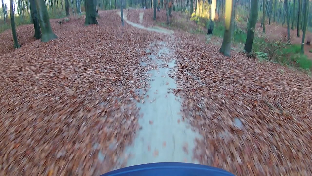 Freeride i rowerowe skoki. 😂🚲