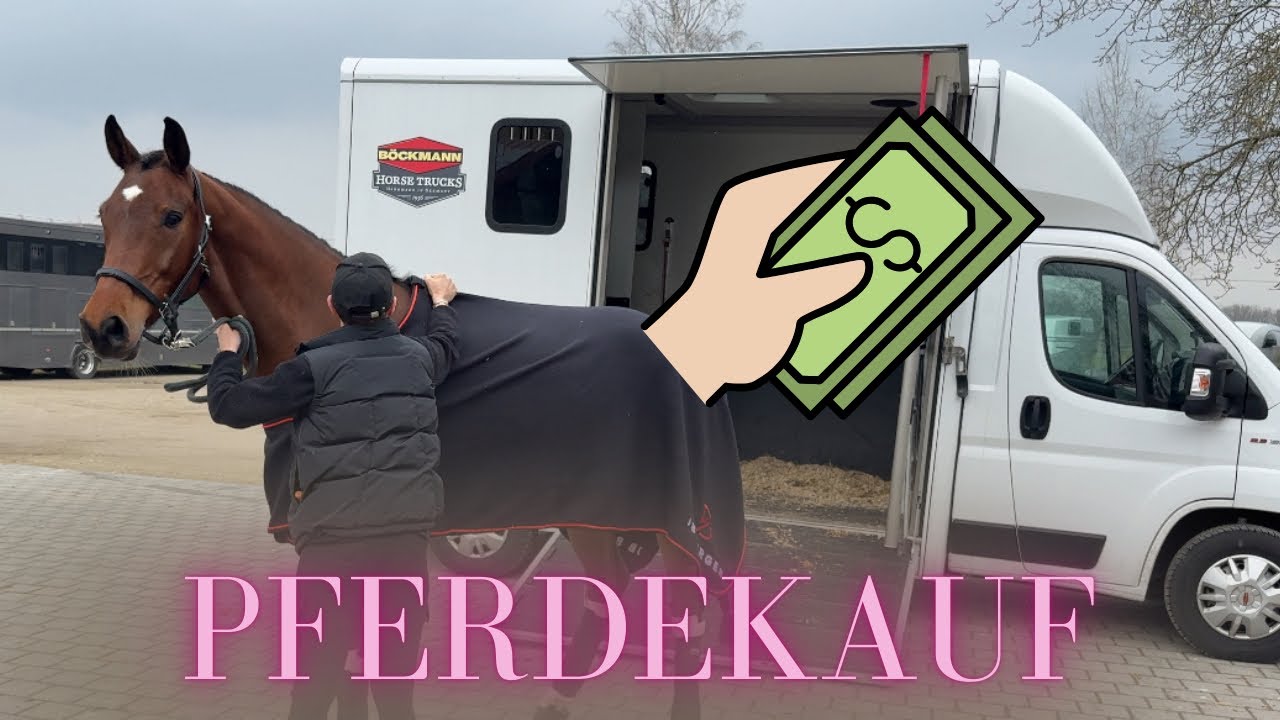 PFERDEKAUF - ich hole mein neues Pferd ab! 🐴🚛😍