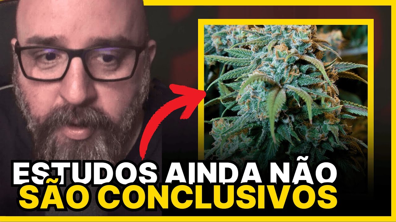 O QUE DIZEM OS ESTUDOS SOBRE C@N@BIS, A ERVA MAÇONIA