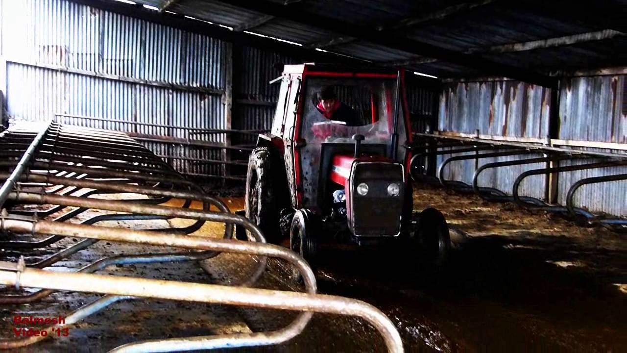 Massey-Ferguson 250 Scraping Yard.