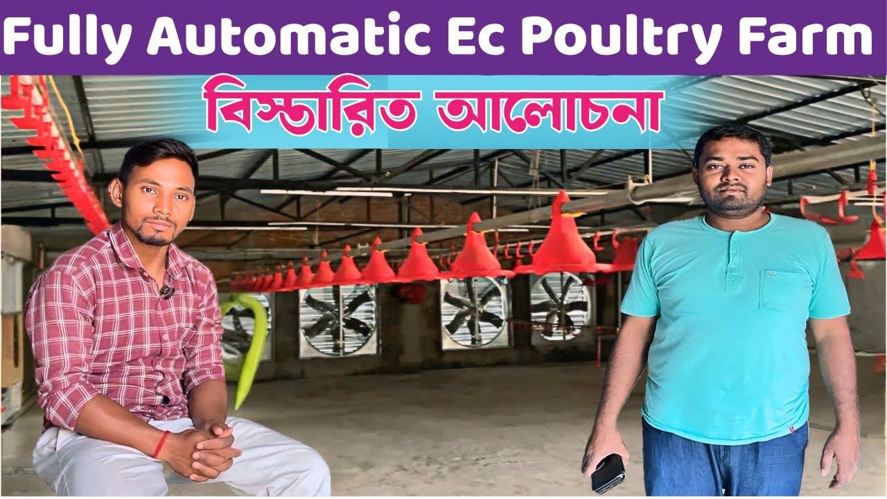 Fully Automatic Ec Poultry Farm কেন করলেন, কিভাবে করলেন , কত খরচ সম্পূর্ণ বিস্তারিত