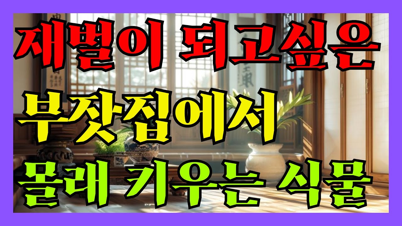 재벌이 되고 싶은 부잣집에서 몰래 키우는 식물 이건 꼭 키우세요. #풍수인테리어
