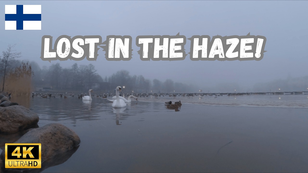 Helsinki Under Fog | Cinematic Misty City Views