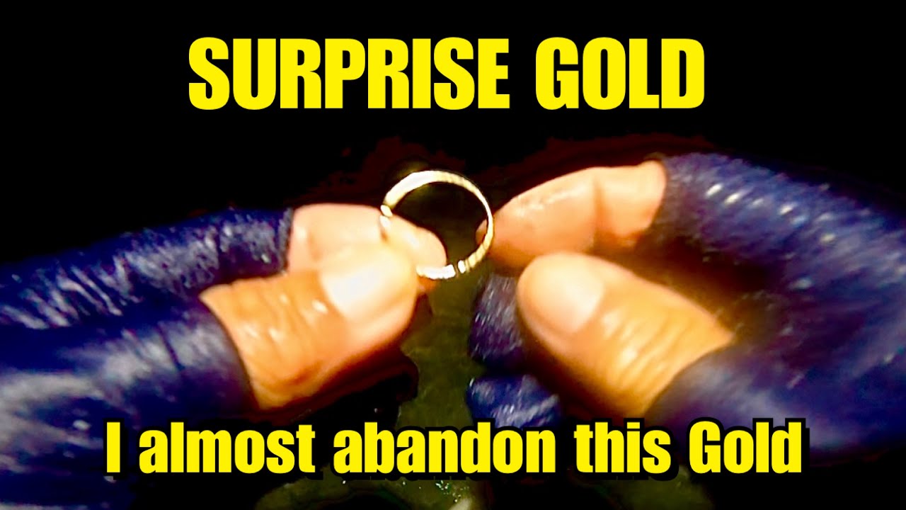 SURPRISE GOLD FINALLY SHOW UP