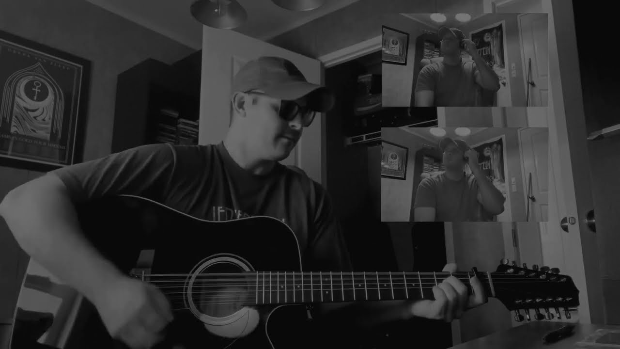 Man In The Wilderness - Styx - 12-String Acoustic COVER