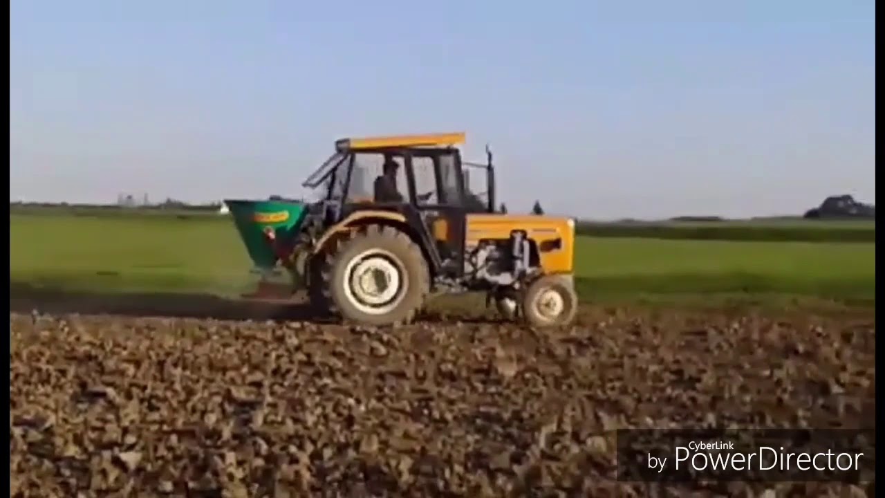 Siewy pszenżyta u Doleckich :-)