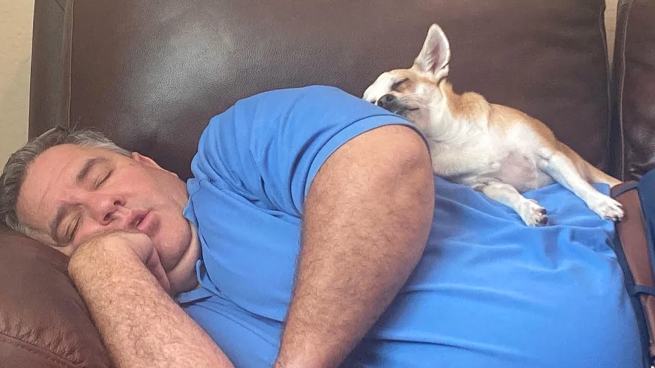 Dads Who Are Now Best Friends With The Pets They 'Didn't Want 🤣