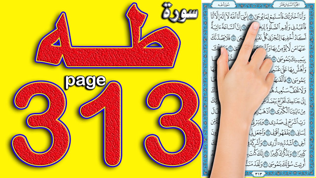 سورة طه صفحة 313
