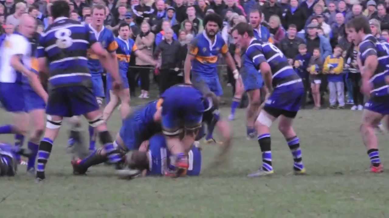 Brad Thorn plays for Taieri