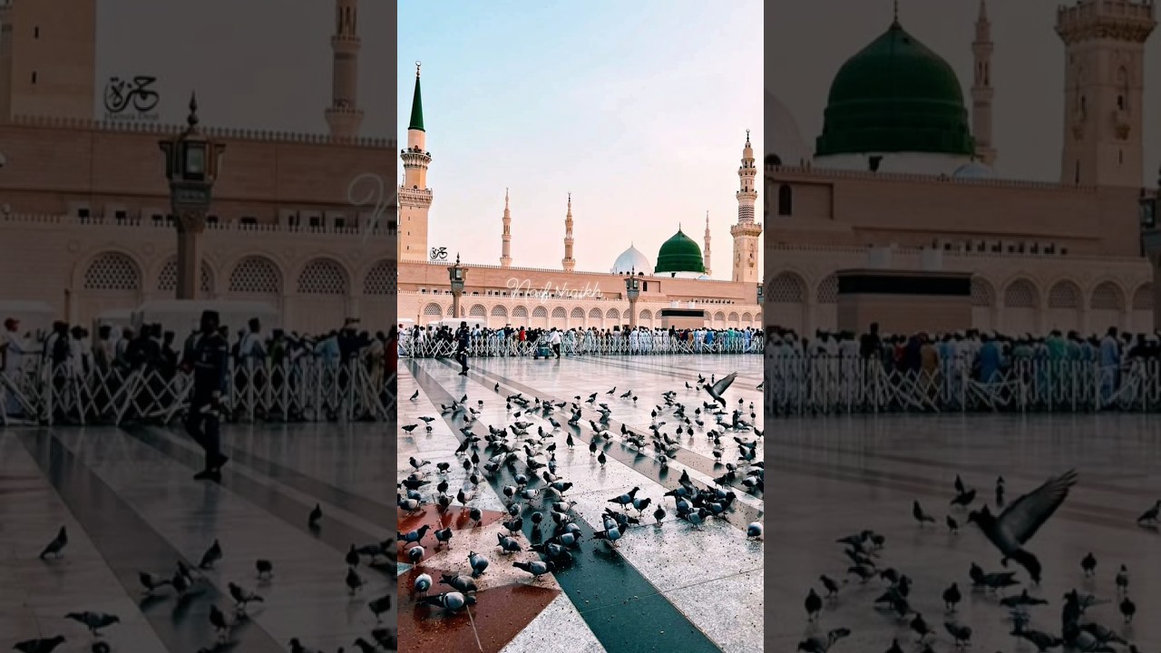 Meri ulfat madine se naat Sharif short video 2024 #md amiruddin