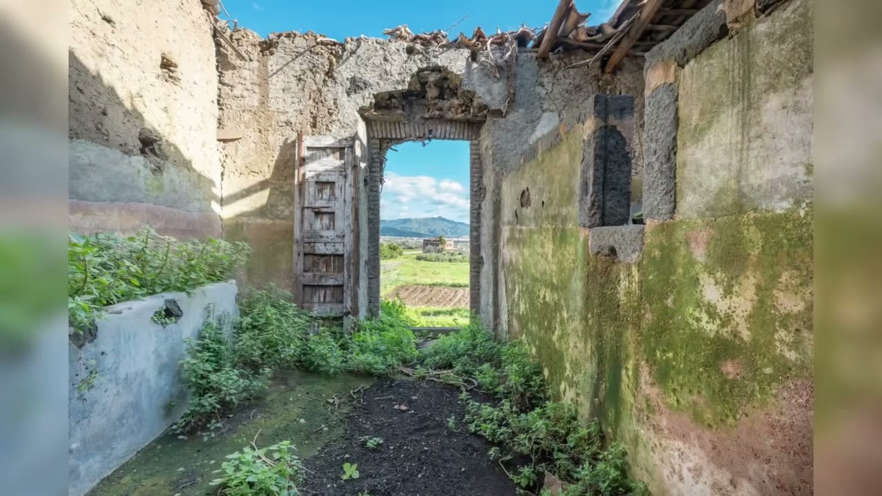 ANTICO PALMENTO CON ULIVETO | MASCALI 