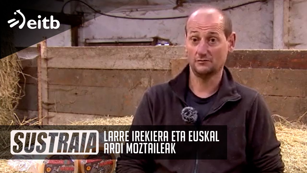 SUSTRAIA: Larre irekiera eta Euskal ardi moztaileak