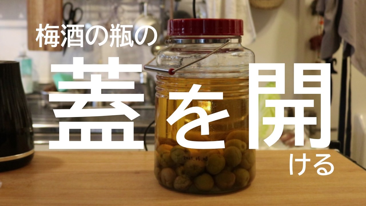 【vlog】梅酒の瓶の蓋とひたすら格闘した日