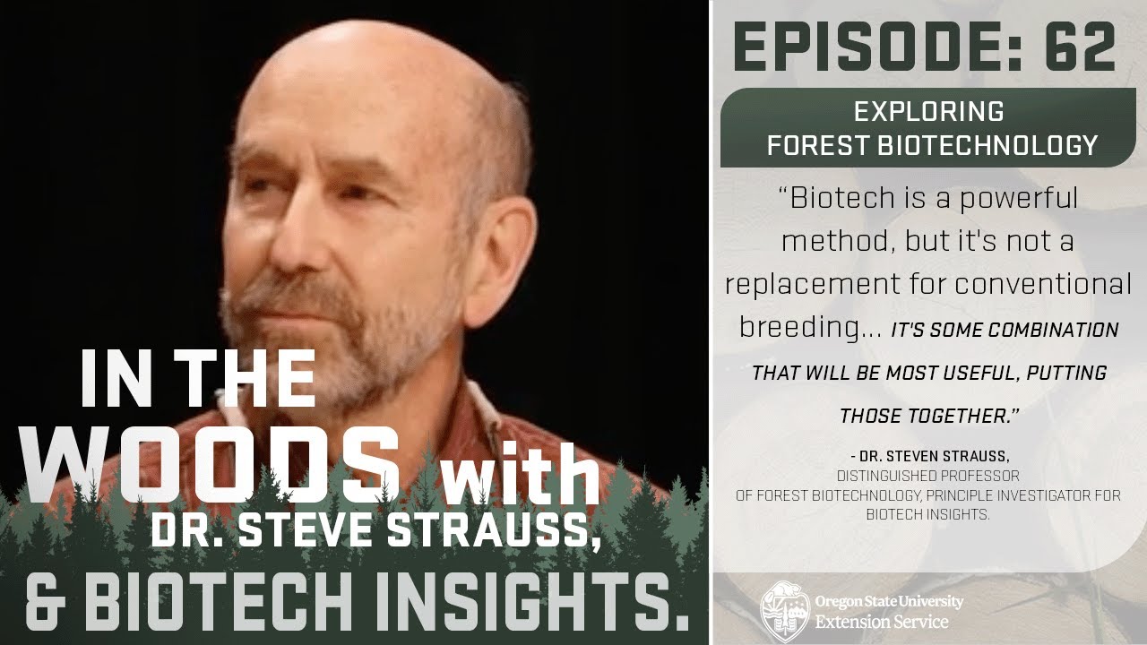In the Woods - Episode 62: Exploring Forest Biotechnology