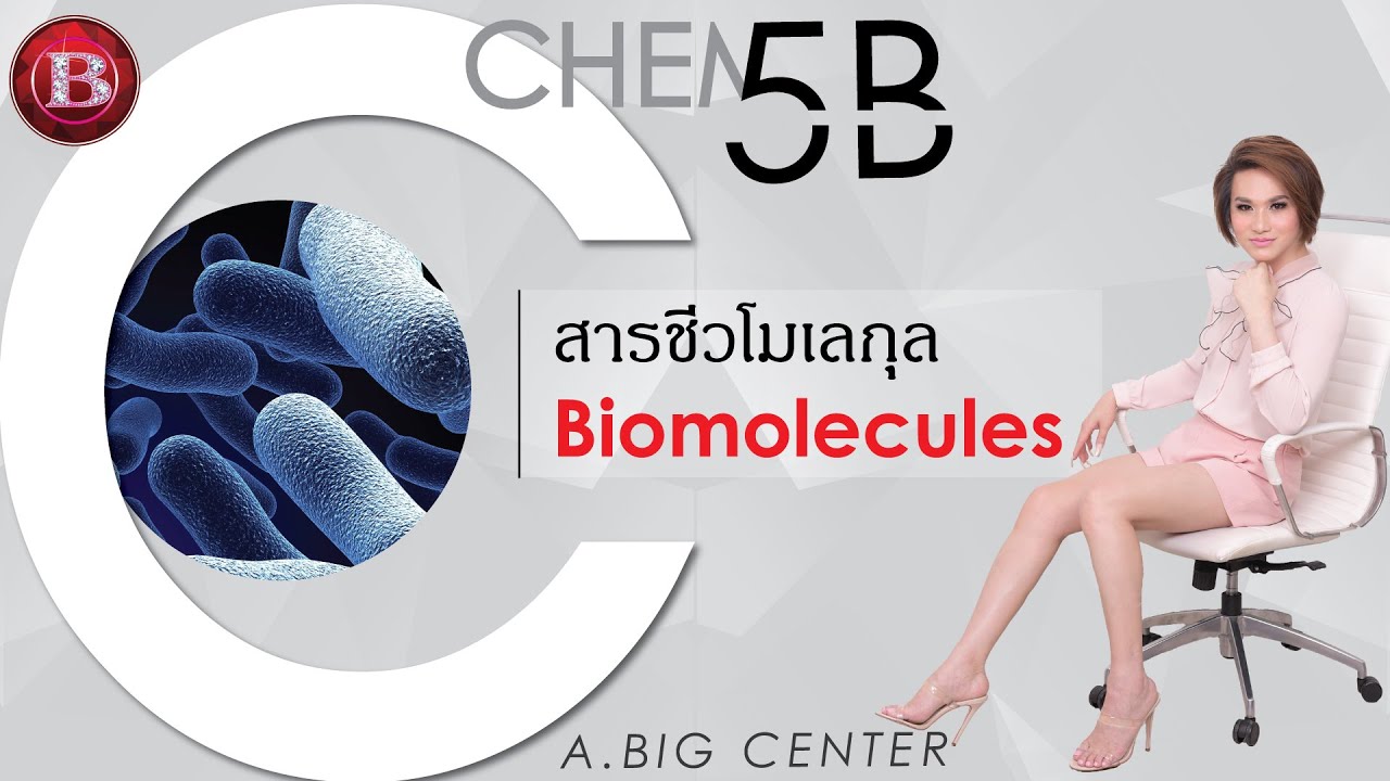 Chem 5B สารชีวโมเลกุล อ.บิ๊ก A.BIG CENTER