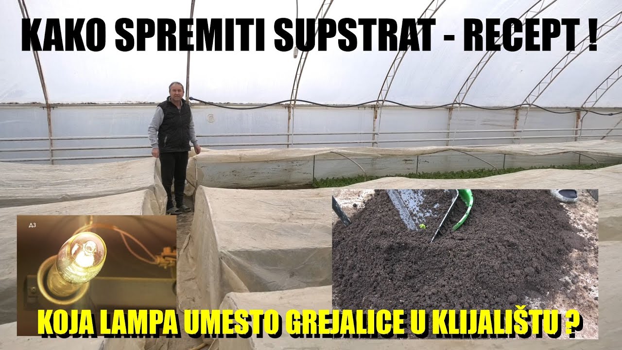 Kako da prepoznate koji je SUPSTRAT PREVARA A KOJI JE DOBAR - grejanje u RASADU  LAMPAMA ! Evo kako!
