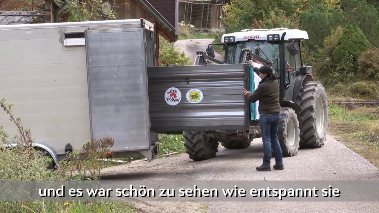 VIER PFOTEN hinter den Kulissen: BÄRENWALD Arbesbach