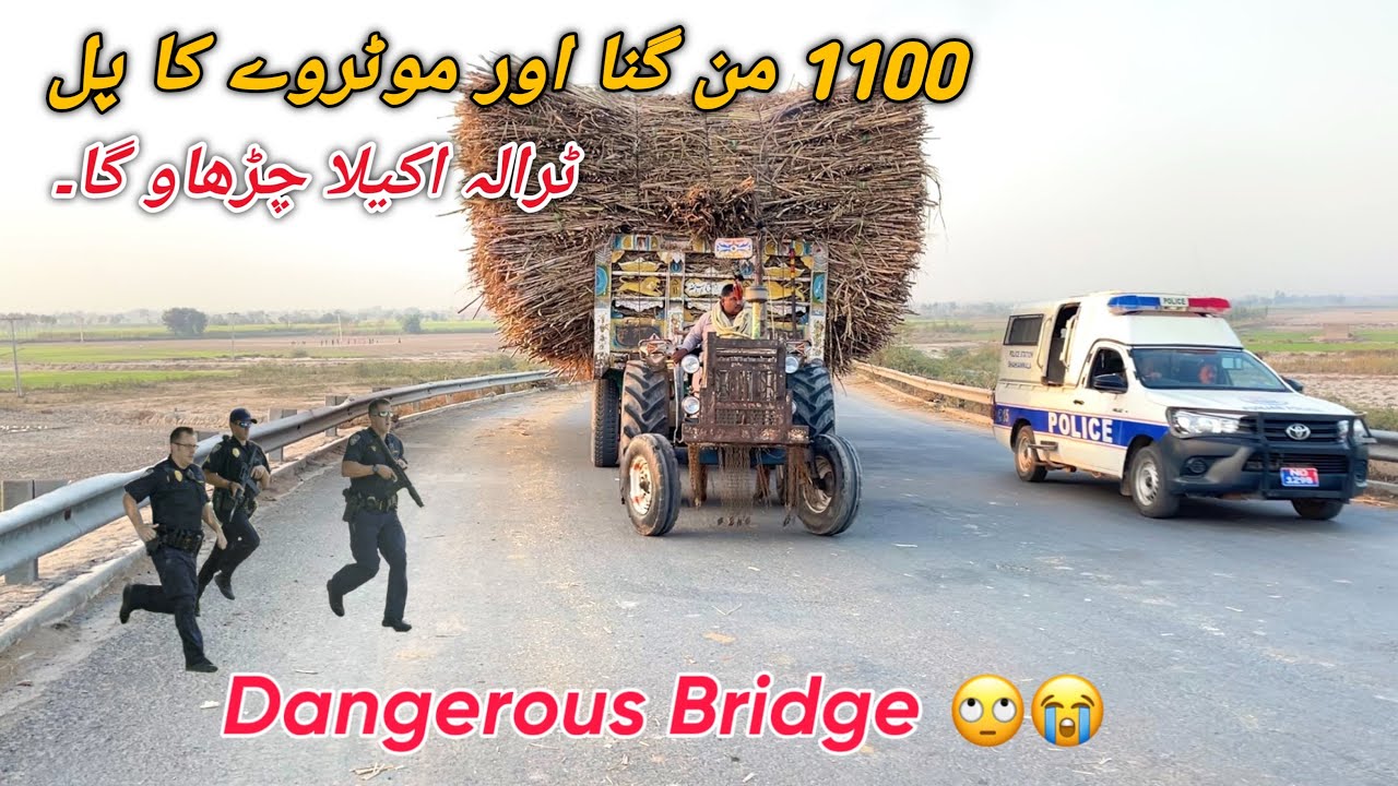 Well Done Ford 4600 Only 56HP Tractor Pull 45 Tonnes Sugarcane Trailer at Bridge