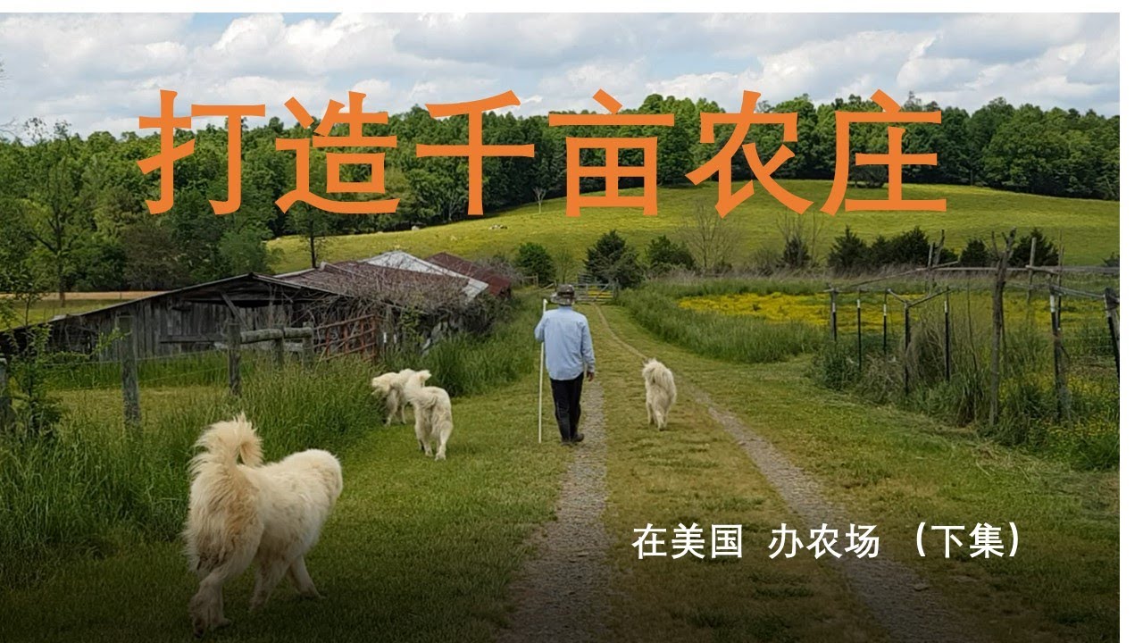 第十一集 《在美国 办农场 （下） -   打造千亩农庄》